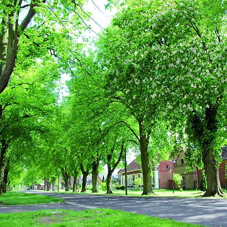 Lejlighed In Am Mueritzsee *