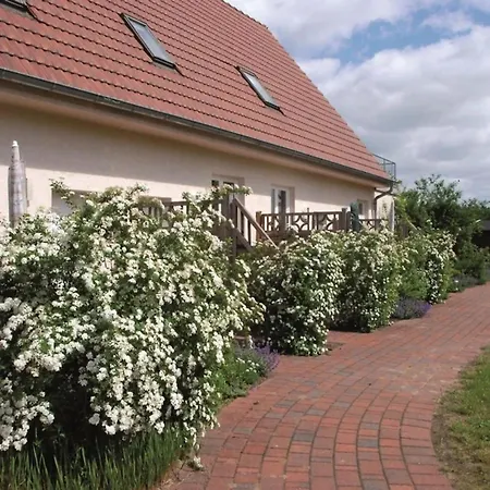 Geschmackvoll Eingerichtete In Am Mueritzsee Lejlighed Buchholz (Mecklenburg-Vorpommern)